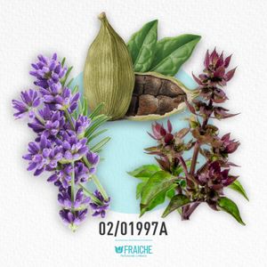 HDIO SAUVA ELIX - Agua de Perfume al 25%