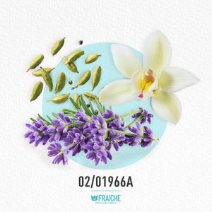 HJPG LEMA LEPARF - Agua de Perfume al 25%