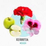 02-00072a-hhb-hugo-h