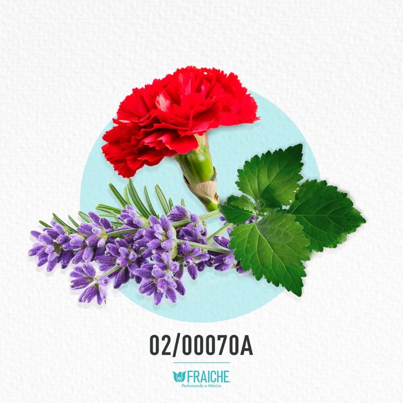 02-00070a-hhb