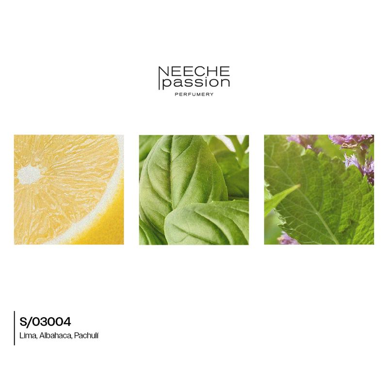 s-03004-ujolime