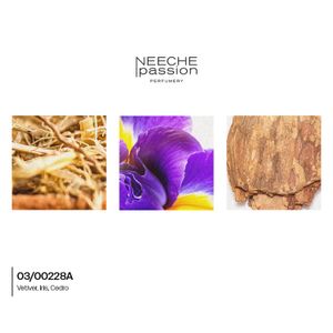 UCHAN SYCOMORE PAR - Agua de Perfume al 25%
