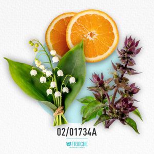 UCHAN PARS BIARRTZ - Agua de Perfume al 25%