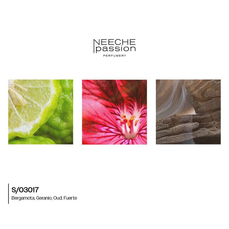 s-03017-ucuir-desert