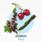 03-00042a-upacrab-major-m