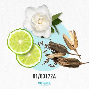 MPH LOVE RUSH - Perfume al 33%