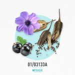 01-03133a-mdolc-gab-violet