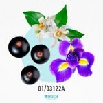 01-03122a-mlanco-lveb-iris-e