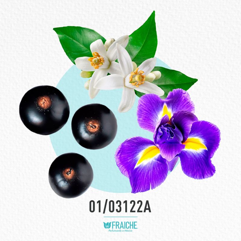 01-03122a-mlanco-lveb-iris-e