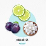 01-03115a-msfer-signorina-li
