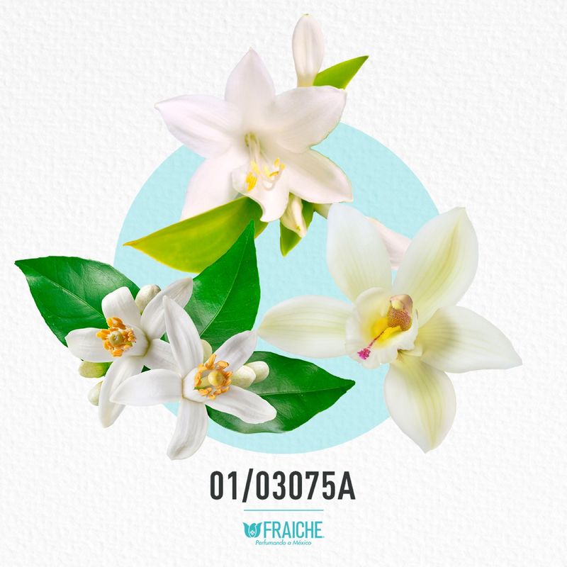 01-03075a-mgioa-my-way-edp