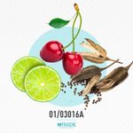 01-03016a-mdolc-queen