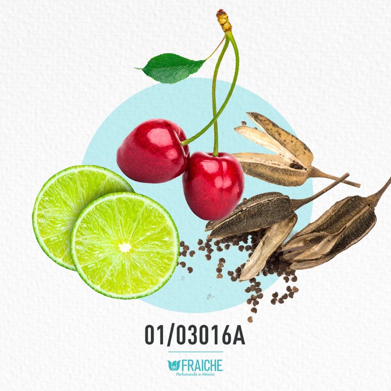 01-03016a-mdolc-queen