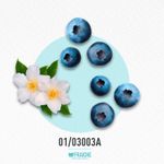 01-03003a-mesc-sho-m-lve