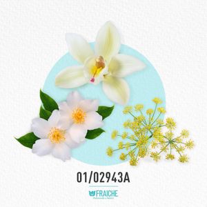MVICROLF GOOD FORT - Perfume al 33%