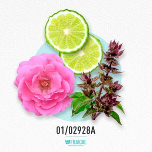 MLANCO LVEB OUI - Perfume al 33%
