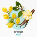 01-02901a-mcaro-ch-hot