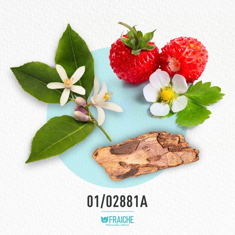 01-02881a-mjes-hallow-bloss