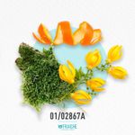 01-02867a-mpacrab-olym-solar