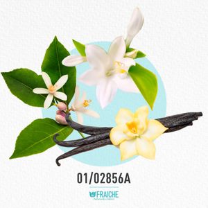 MGIOA MY WAY INTEN - Perfume al 33%