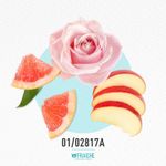 01-02817a-mdk-bedelic-fresh