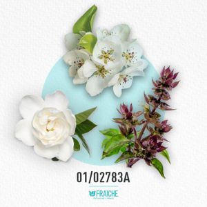 MGUCC1 FLOR GORG G - Perfume al 33%