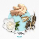 01-02754a-mv-voce-viva