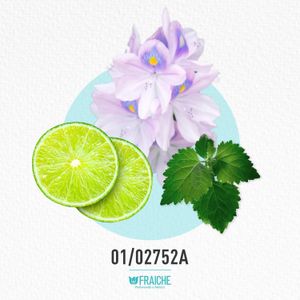 MCHAN EAU FRAI - Perfume al 33%