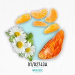 01-02743a-mkenz-the-new