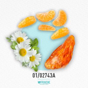 MKENZ THE NEW - Perfume al 33%