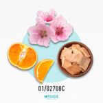 01-02708c-mesc-summr-fst