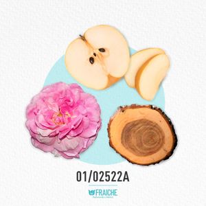MKENZ FLOWE POPP - Perfume al 33%