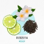 01-02511a-mkim-diam-rosa