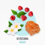 01-02388a-mburr-be-her