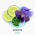 01-02377a-mdolc-only-1
