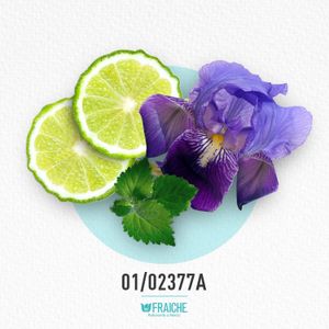 MDOLC ONLY 1 - Perfume al 33%