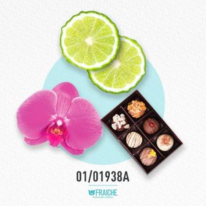 MPH GOLD RUSH - Perfume al 33%