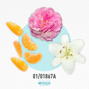 MJUICY ROSA VIVA - Perfume al 33%