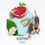 01-01703c-mvers-eros