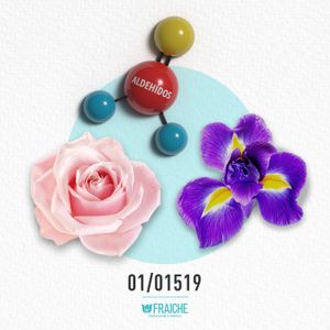 MJCB OMBREROS - Perfume al 33%