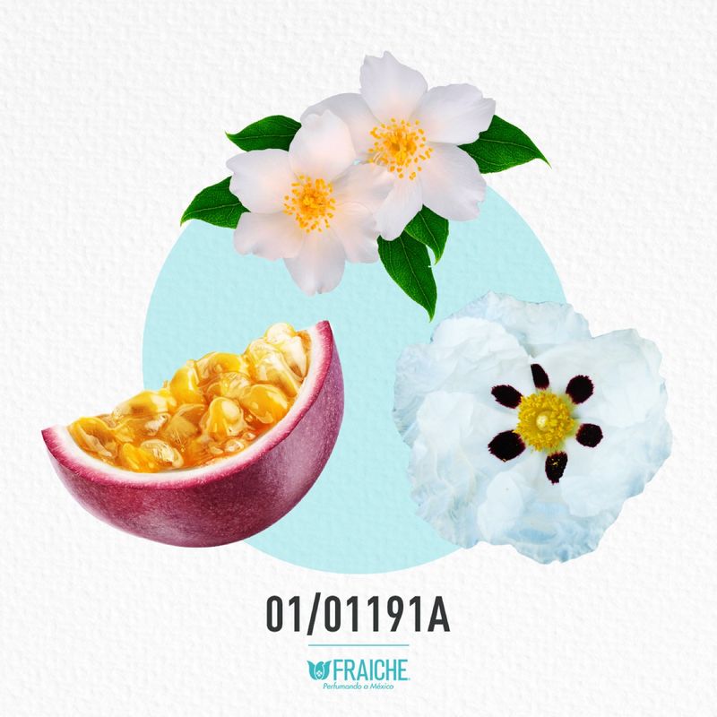 01-01191a-mgio-a-aqugigia