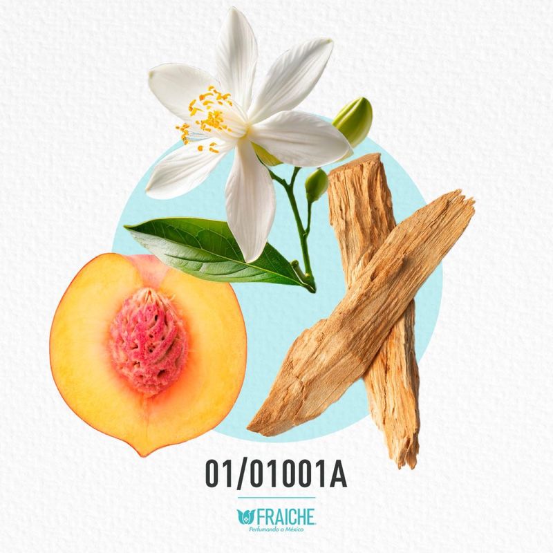 01-01001a-mhb-orange