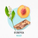 01-00792a-mcach-noa