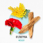 01-00790a-modlr-volup
