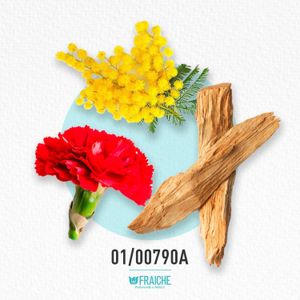 MODLR VOLUP - Perfume al 33%