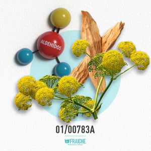 MCHRIS DUN - Perfume al 33%