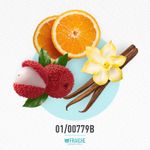 01-00779b-mchan-coco-mad-int