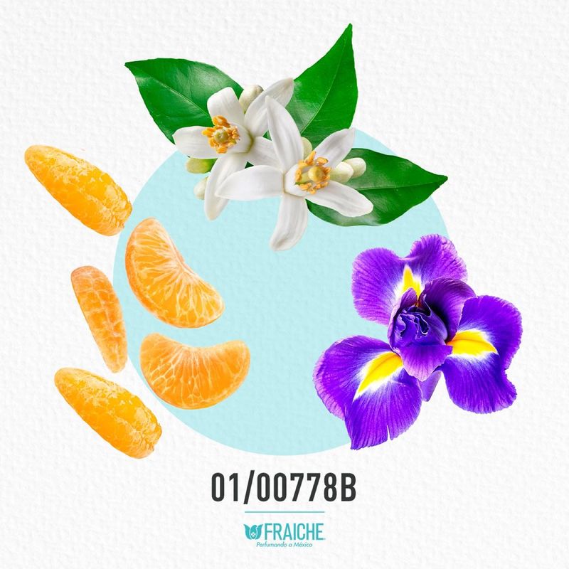 01-00778b-mgiv-extravaga