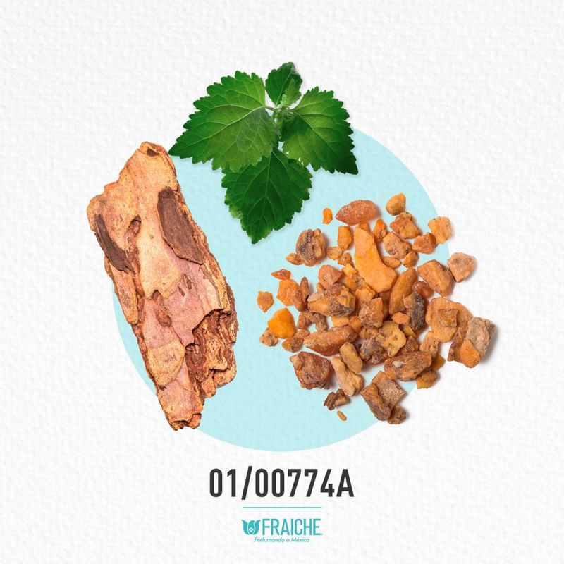 01-00774a-mguerl-shali