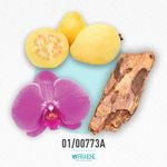 01-00773a-mversac